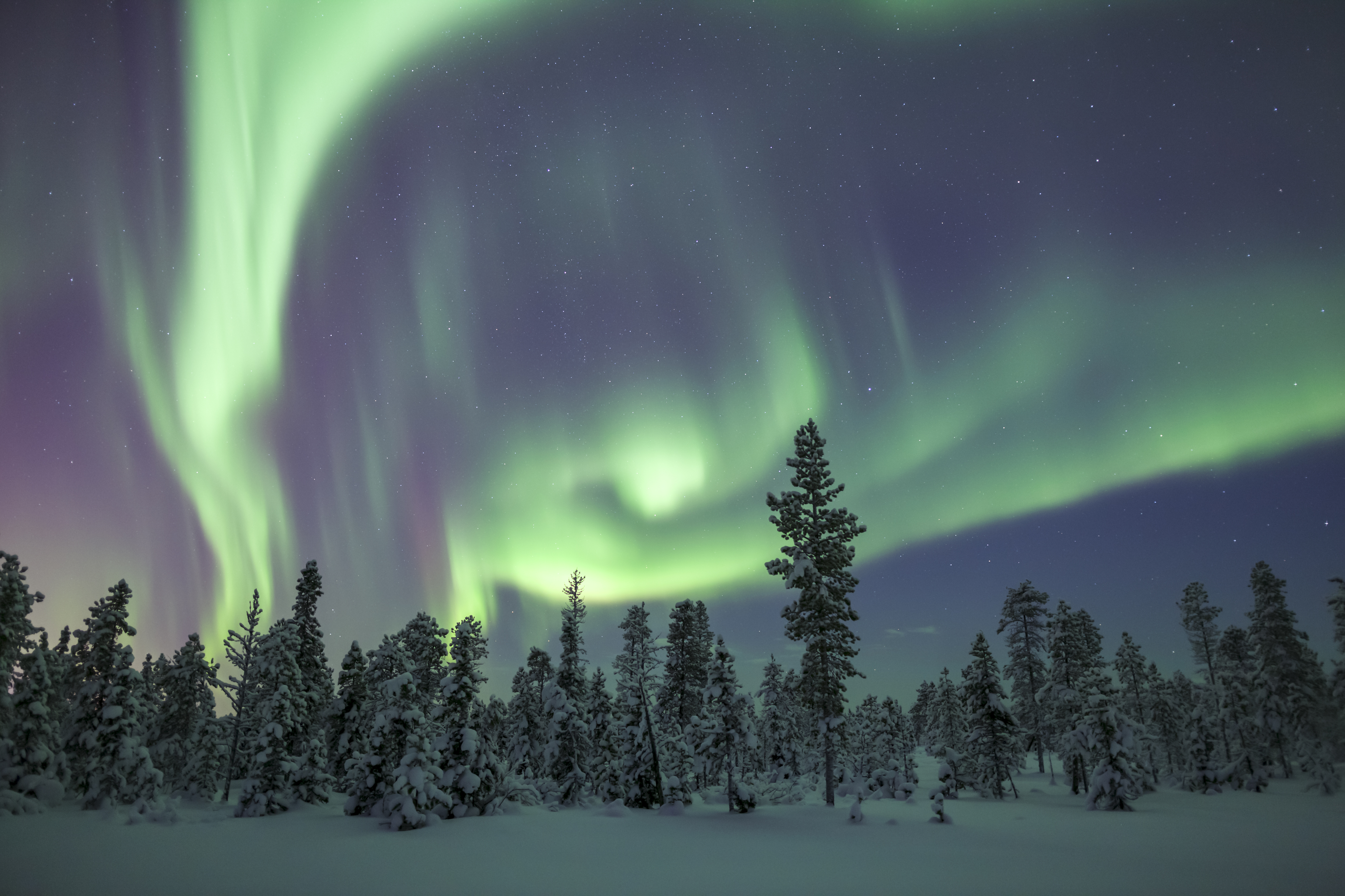 Die 8 bezauberndsten Orte, um die Nordlichter zu sehen 